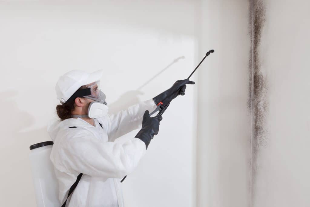 mold testing Massachusetts