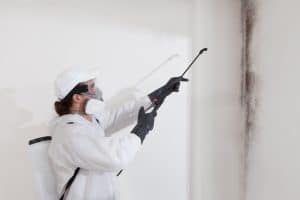 mold testing Massachusetts